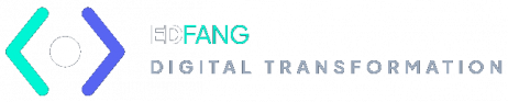 Ed Fang – Digital Transformation
