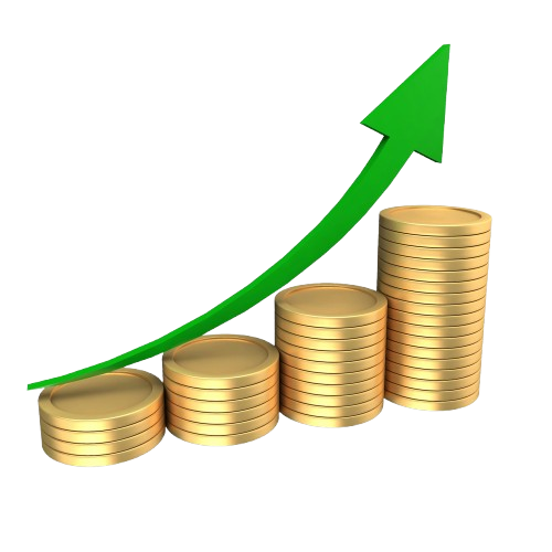 website revenue audit